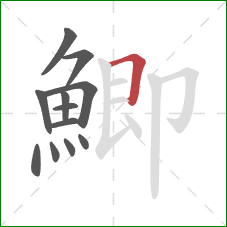 鯽的笔顺第12画:横折 鯽的笔顺第12画:横折