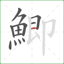 鯽的笔顺第14画:横 鯽的笔顺第14画:横