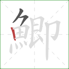 鯽的笔顺第3画:竖 鯽的笔顺第3画:竖