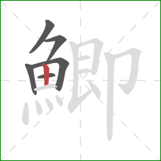 鯽的笔顺第6画:竖 鯽的笔顺第6画:竖