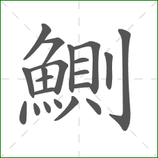 鰂的部首 鰂的部首
