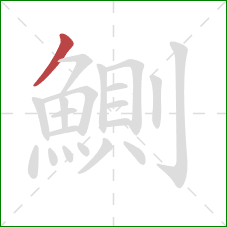 鰂的笔顺第1画:撇 鰂的笔顺第1画:撇