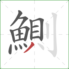 鰂的笔顺第17画:撇 鰂的笔顺第17画:撇