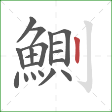 鰂的笔顺第19画:竖 鰂的笔顺第19画:竖