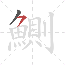 鰂的笔顺第2画:横撇 鰂的笔顺第2画:横撇