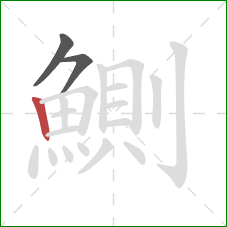 鰂的笔顺第3画:竖 鰂的笔顺第3画:竖