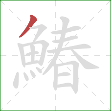 鰆的笔顺第1画:撇 鰆的笔顺第1画:撇