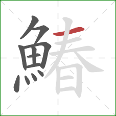 鰆的笔顺第12画:横 鰆的笔顺第12画:横