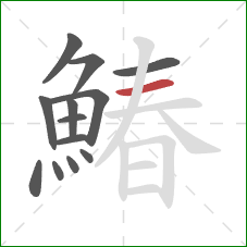 鰆的笔顺第13画:横 鰆的笔顺第13画:横