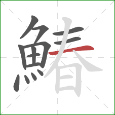 鰆的笔顺第14画:横 鰆的笔顺第14画:横