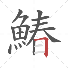 鰆的笔顺第18画:横折 鰆的笔顺第18画:横折