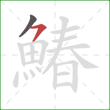 鰆的笔顺第2画:横钩 鰆的笔顺第2画:横钩