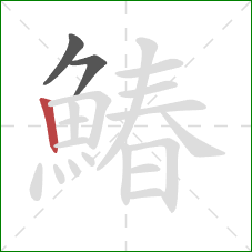 鰆的笔顺第3画:竖 鰆的笔顺第3画:竖