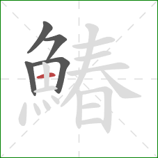 鰆的笔顺第5画:横 鰆的笔顺第5画:横