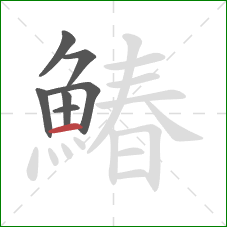 鰆的笔顺第7画:横 鰆的笔顺第7画:横
