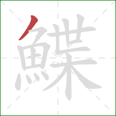 鰈的笔顺第1画:撇 鰈的笔顺第1画:撇