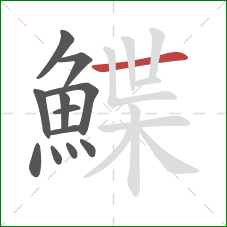 鰈的笔顺第12画:横 鰈的笔顺第12画:横