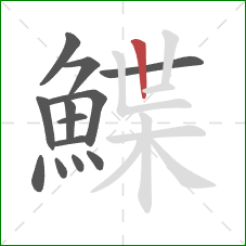鰈的笔顺第13画:竖 鰈的笔顺第13画:竖