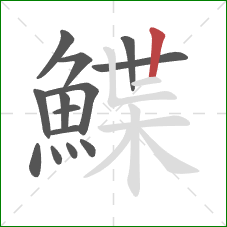 鰈的笔顺第14画:竖 鰈的笔顺第14画:竖