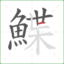 鰈的笔顺第15画:横 鰈的笔顺第15画:横