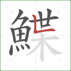 鰈的笔顺第16画:竖折 鰈的笔顺第16画:竖折