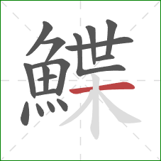 鰈的笔顺第17画:横 鰈的笔顺第17画:横