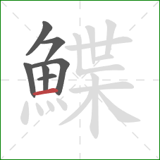 鰈的笔顺第7画:横 鰈的笔顺第7画:横