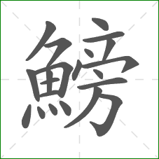 鰟的部首 鰟的部首