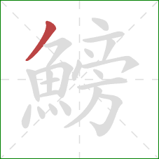 鰟的笔顺第1画:撇 鰟的笔顺第1画:撇