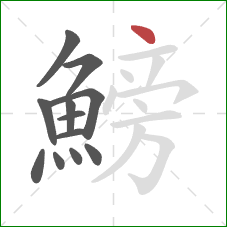 鰟的笔顺第12画:点 鰟的笔顺第12画:点