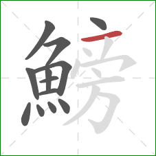 鰟的笔顺第13画:横 鰟的笔顺第13画:横