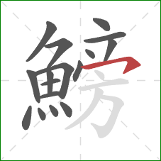 鰟的笔顺第17画:横钩 鰟的笔顺第17画:横钩