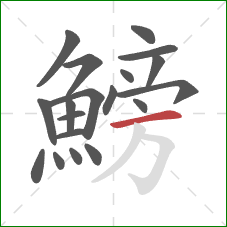 鰟的笔顺第19画:横 鰟的笔顺第19画:横