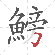 鰟的笔顺第20画:横折钩 鰟的笔顺第20画:横折钩