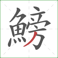 鰟的笔顺第21画:撇 鰟的笔顺第21画:撇