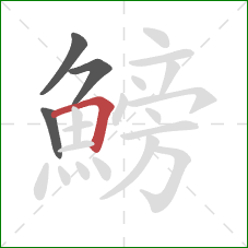 鰟的笔顺第4画:横折 鰟的笔顺第4画:横折