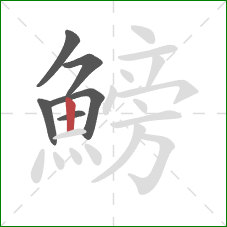 鰟的笔顺第6画:竖 鰟的笔顺第6画:竖