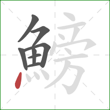 鰟的笔顺第8画:点 鰟的笔顺第8画:点