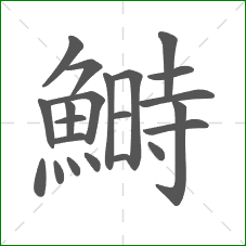 鰣的部首 鰣的部首