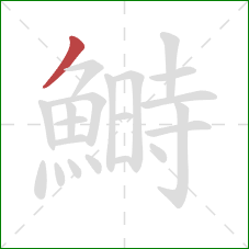 鰣的笔顺第1画:撇 鰣的笔顺第1画:撇