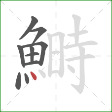 鰣的笔顺第10画:点 鰣的笔顺第10画:点