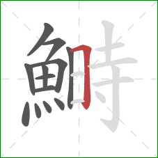 鰣的笔顺第13画:横折 鰣的笔顺第13画:横折