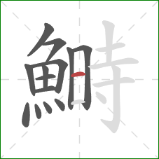 鰣的笔顺第14画:横 鰣的笔顺第14画:横