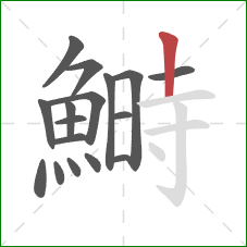 鰣的笔顺第17画:竖 鰣的笔顺第17画:竖