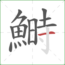 鰣的笔顺第19画:横 鰣的笔顺第19画:横