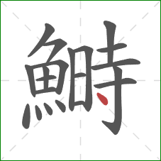 鰣的笔顺第21画:点 鰣的笔顺第21画:点