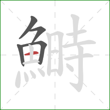 鰣的笔顺第5画:横 鰣的笔顺第5画:横