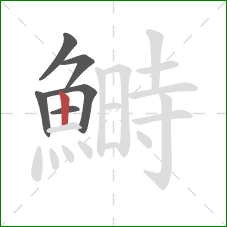 鰣的笔顺第6画:竖 鰣的笔顺第6画:竖