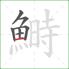鰣的笔顺第7画:横 鰣的笔顺第7画:横