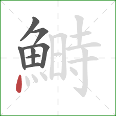 鰣的笔顺第8画:点 鰣的笔顺第8画:点